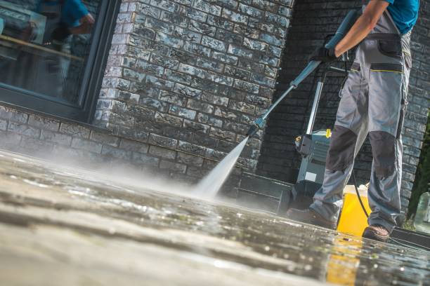 Best Roof Cleaning and Mildew Removal in Franklin, KY