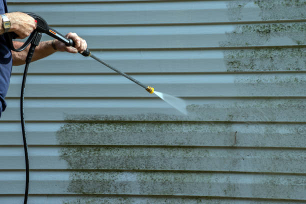 Best Graffiti Removal Services in Franklin, KY